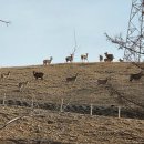 태백농장 이미지