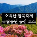 양천구 지역명소 탐방코스 7 | 단양 소백산 철쭉축제 일정 &amp; 국립공원 통제정보 초보 등산코스 지도