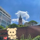 에쎄레젤라또 | 명동 수제아이스크림 명동성당 지하 에쎄레젤라또 후기