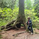 밸마운트4 이미지