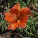 치현농장 이미지