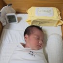 허니PC | [제품 리뷰] 도툼한물티슈 추천! 허니엘로우로 만나는 프리미엄물티슈 리얼 후기