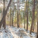 충청수영성 관광안내소 이미지