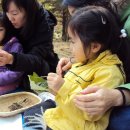 동백유치원 이미지