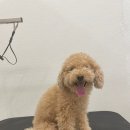 3미리스튜디오 이미지
