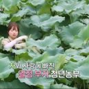 한씨농장 이미지