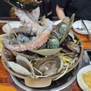 군포해물탕 - 화성시 | 수원 군포해물탕 어제 저녁 7시 방문 만석 리얼 후기