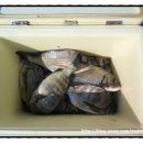 구산면587 이미지