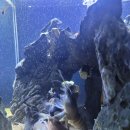 광교 갤러리아 백화점에서 이미지