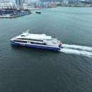 스타라인 이미지