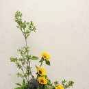 동양 꽃꽂이 이미지