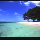 지구온난화로 사라지는 섬. 투발루 ﻿ 이미지