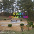 천년장묘