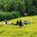 사람 그리고 새 티스토리