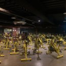 평화사우나휘트니스 이미지