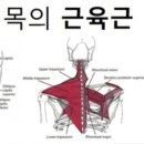 약손통증전문 이미지