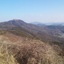 산화고개 Daum카페