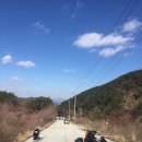 고고바이크