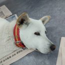 백구공인중개사사무소 이미지