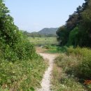 청미천 4 이미지