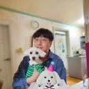 멍멍미식회 이미지