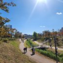 베버리 독스 이미지