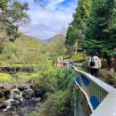 하단동242 이미지