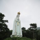 126-1 이미지