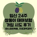 시도 | [태아실비보험 가입] 쌍둥이 태아실비 다이렉트로 가입 시도 후기(보험다모아)