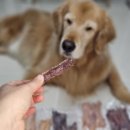 도기머기 네이버블로그