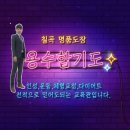 바른체형용수합기도
