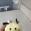 슬기로운 요양병원 생활, 차연요양병원 후기
