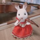 (1:1레슨)바이올린 개인레슨(30분) 이미지