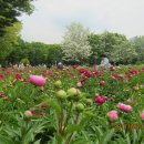 장미원입구 이미지