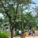 정문 앞 건널목 이미지