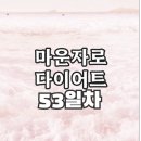 전일한방병원 | [나의일상] 마운자로 주사 다이어트 시작! 부작용,가격,효과 솔직리뷰 (53일차후기)