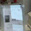 다솜헤어센스