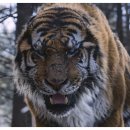 대호농장 이미지