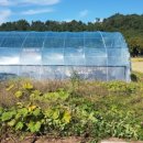 호현목장 이미지