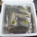 이인치한약국 이미지