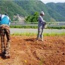 유치면 행정복지센터 이미지