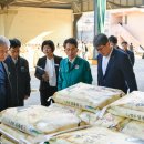 영주연합농협미곡처리장 | 영주시, 2025년산 공공비축미 건조벼 수매 시작