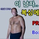 참피온복싱 이미지
