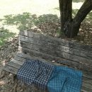 경기도 수원시 팔달구 정조로860번길 이미지