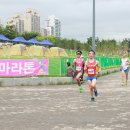 7월 17일 전마협 골드 마라톤 대회 참가기 이미지
