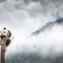 충무아트