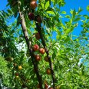 동건농장 이미지