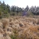 색달동 마을회관 이미지