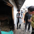 진영축사 이미지