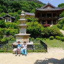 산지곡 이미지